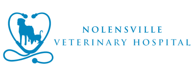 Nolensville Veterinary Hospital-HeaderLogo